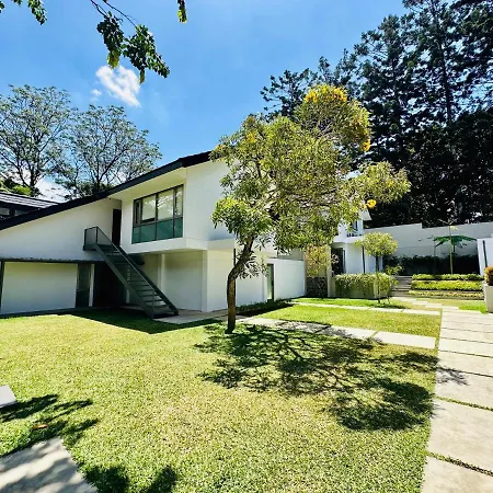 Bungalow Homes-3